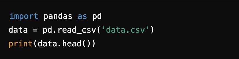 Python Python